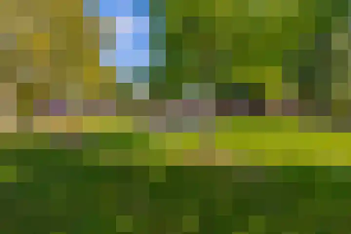 Havixhorst 67 Zuidlaren thumbnail 50