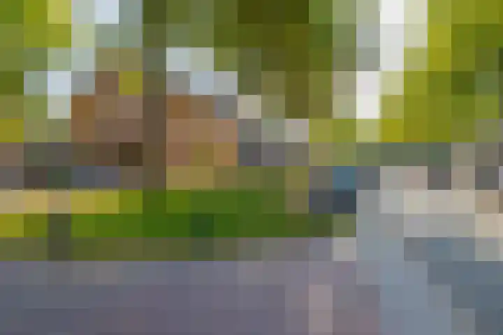 Havixhorst 67 Zuidlaren thumbnail 51