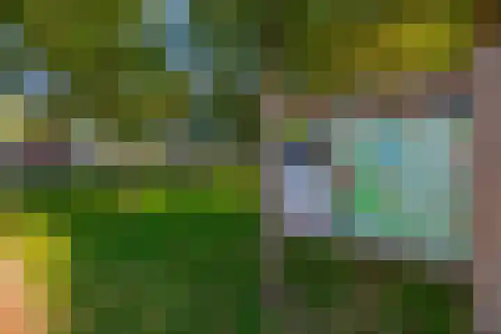 Havixhorst 67 Zuidlaren thumbnail 52
