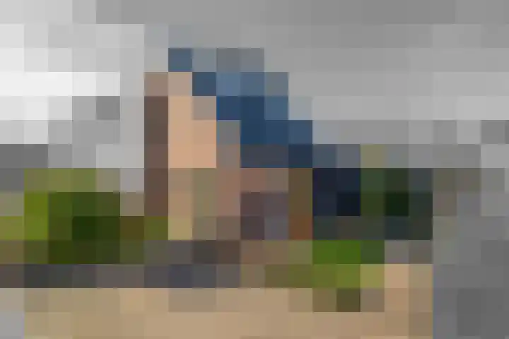 Havixhorst 67 Zuidlaren thumbnail 7