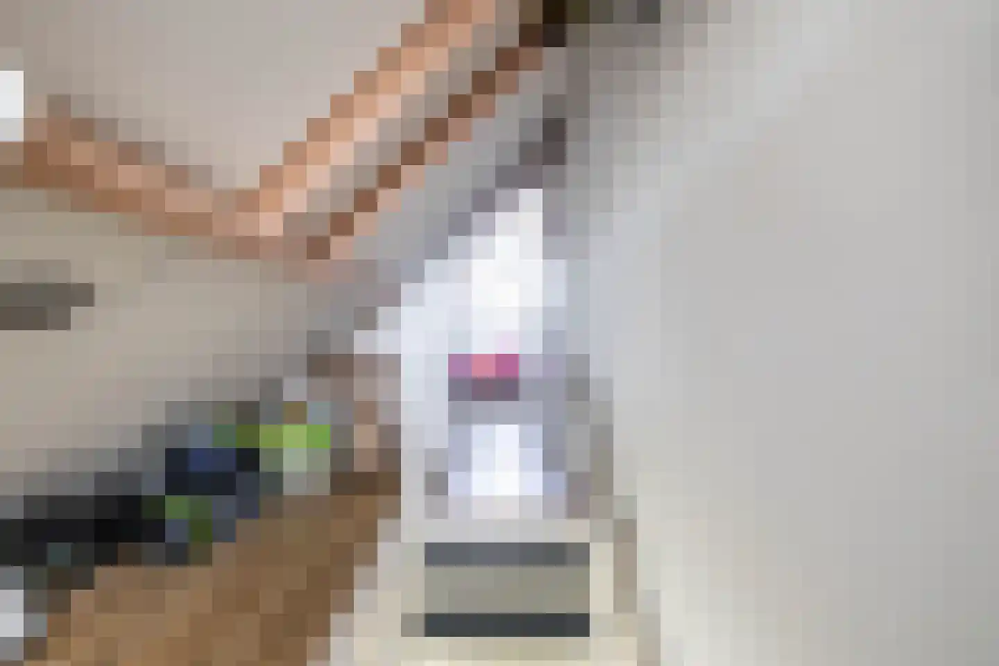 Havixhorst 73 Zuidlaren thumbnail 33