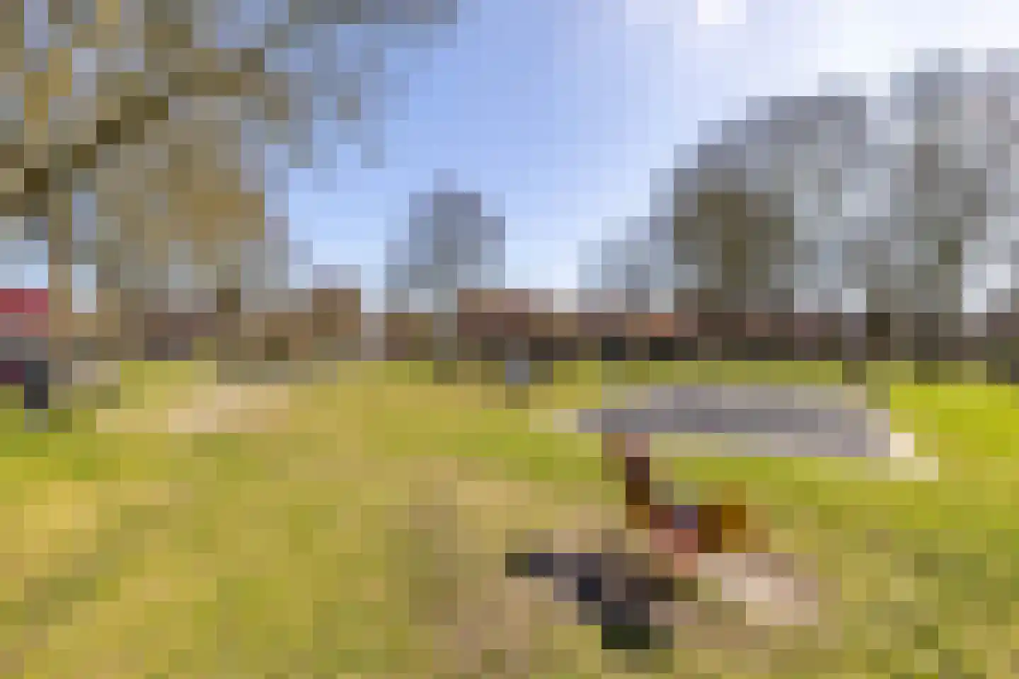 Havixhorst 73 Zuidlaren thumbnail 39