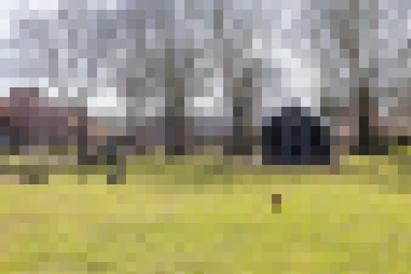 Havixhorst 73 Zuidlaren thumbnail 41