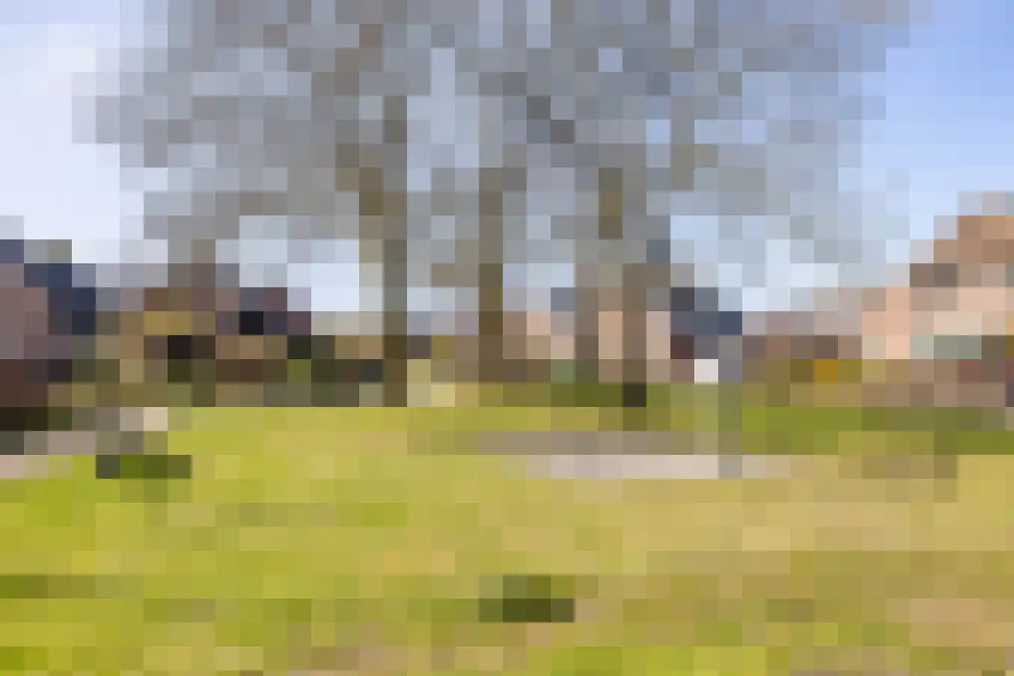 Havixhorst 73 Zuidlaren thumbnail 42