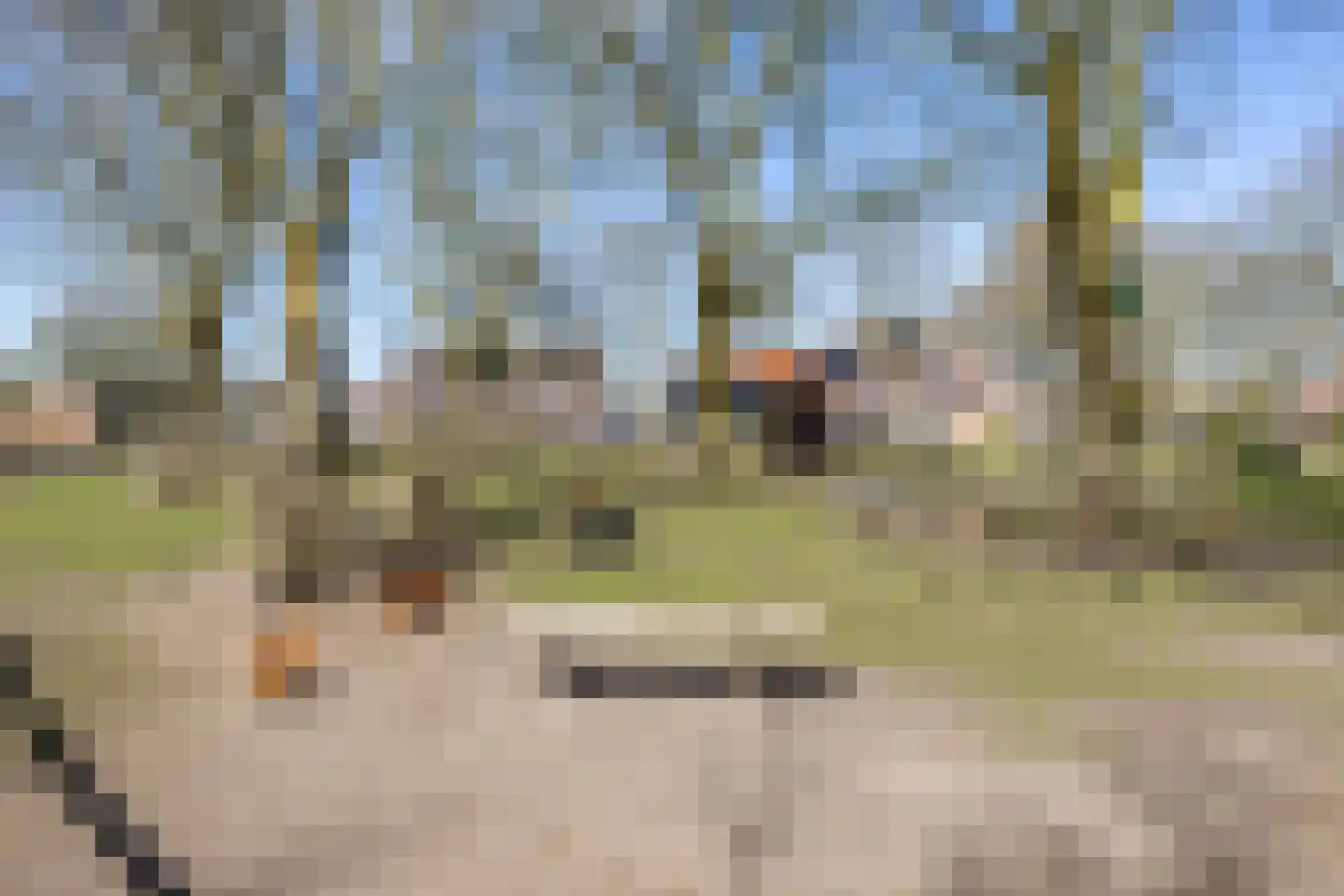 Havixhorst 73 Zuidlaren thumbnail 43
