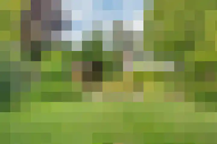 Havixhorst 8 Emmen thumbnail 45
