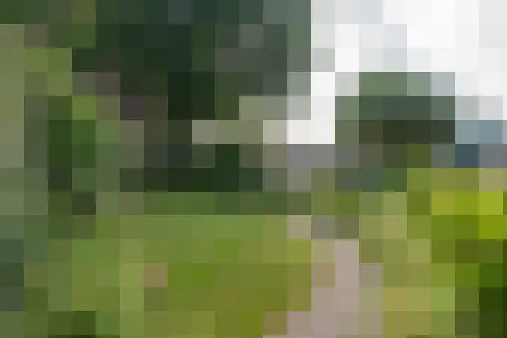 Havixhorst 8 Emmen thumbnail 6