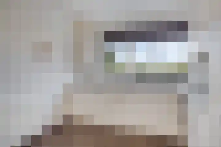 Havixhorst 8 Meppel thumbnail 10
