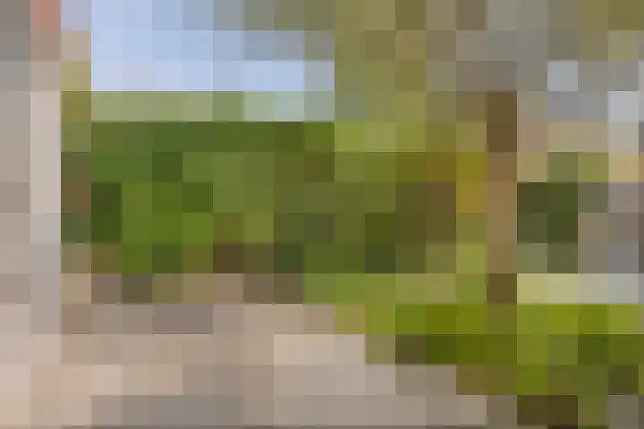 Havixhorst 8 Meppel thumbnail 20