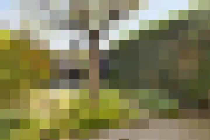 Havixhorst 8 Meppel thumbnail 21