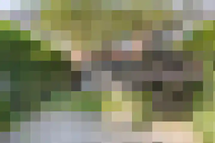 Havixhorst 8 Meppel thumbnail 22