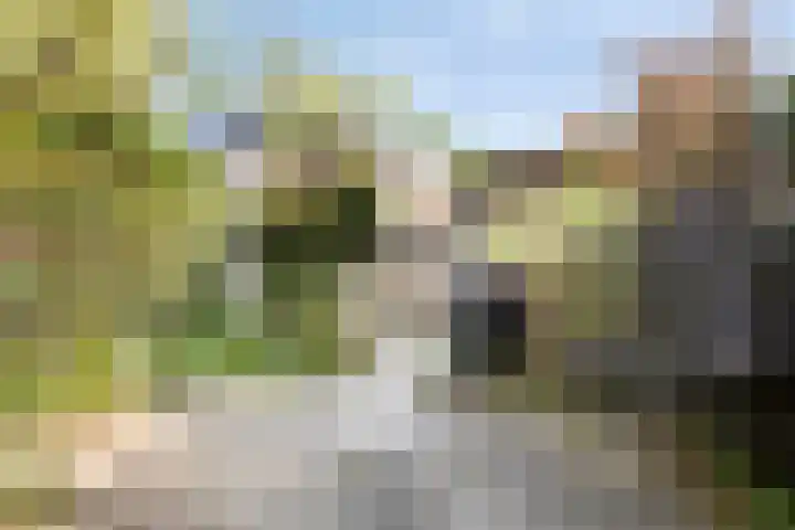Havixhorst 8 Meppel thumbnail 23