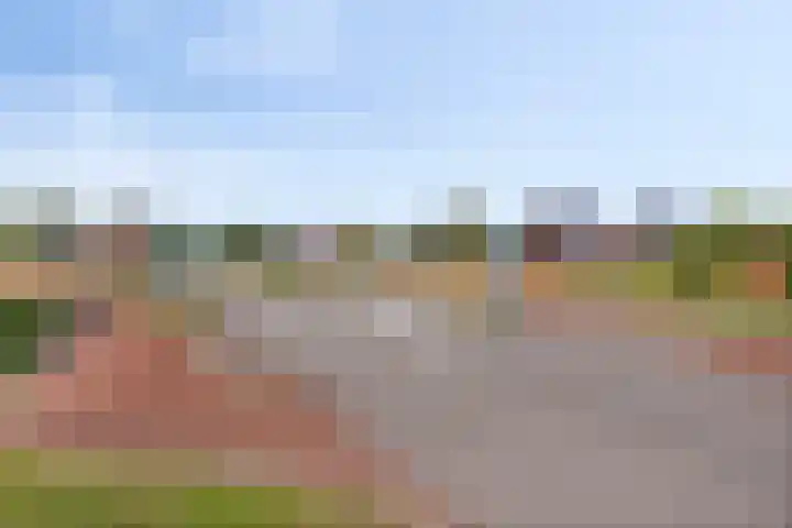 Havixhorst 8 Meppel thumbnail 29