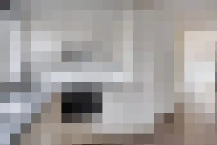 Havixhorst 8 Meppel thumbnail 9