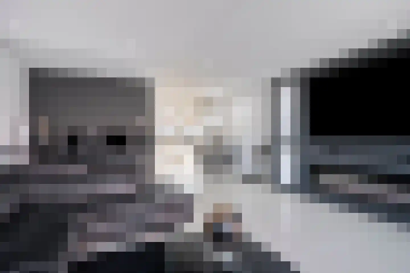 Hawaiiweg 43 Almere thumbnail 9