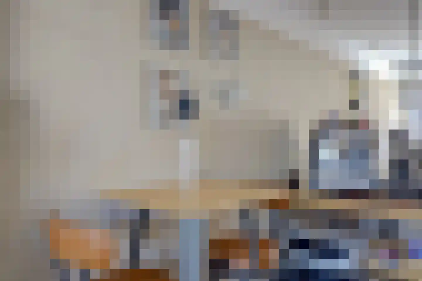 Haya van Someren-Downerpad 34 Spijkenisse thumbnail 5