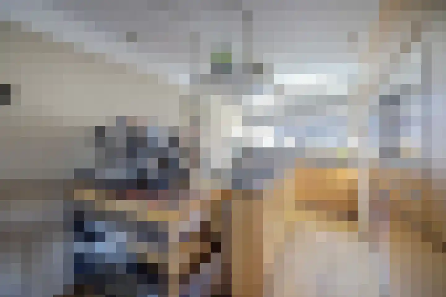 Haya van Someren-Downerpad 34 Spijkenisse thumbnail 7