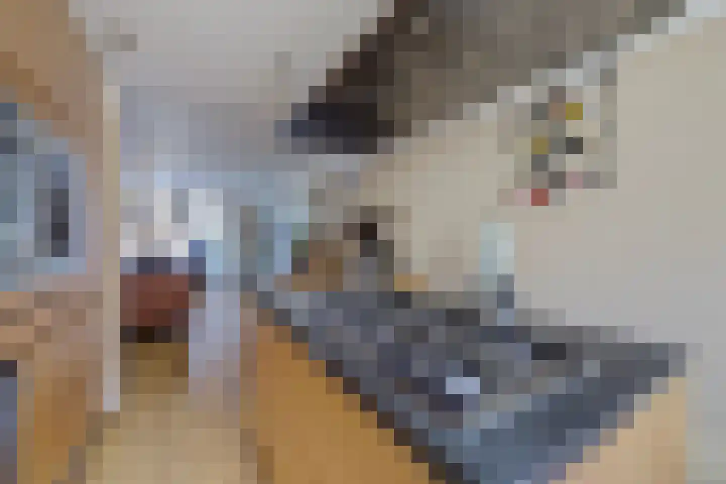 Haya van Someren-Downerpad 34 Spijkenisse thumbnail 8