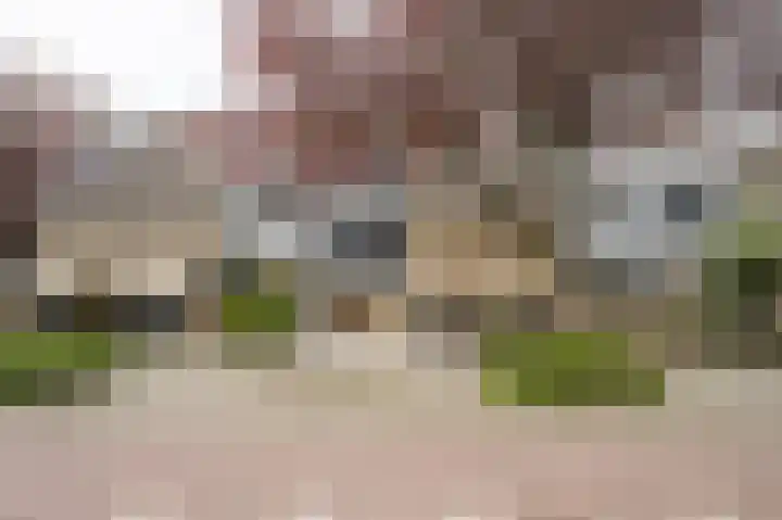 Haya van Someren-Downerpad 37 Spijkenisse thumbnail 10