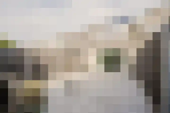 Haya van Someren-Downerpad 37 Spijkenisse thumbnail 16