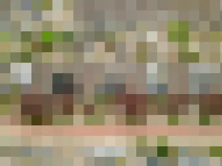 Haya van Someren-Downerpad 37 Spijkenisse thumbnail 8