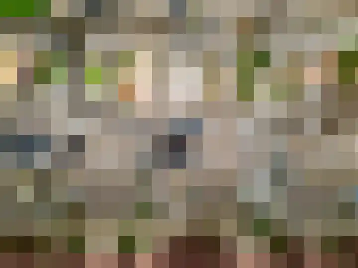 Haya van Someren-Downerpad 37 Spijkenisse thumbnail 9