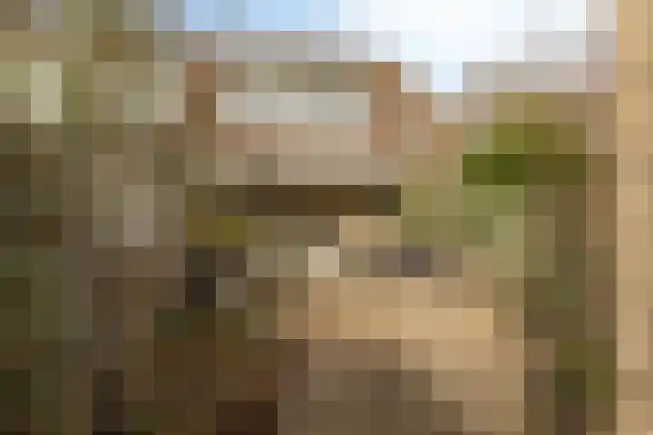 Haya van Someren-Downerpad 51 Spijkenisse thumbnail 32