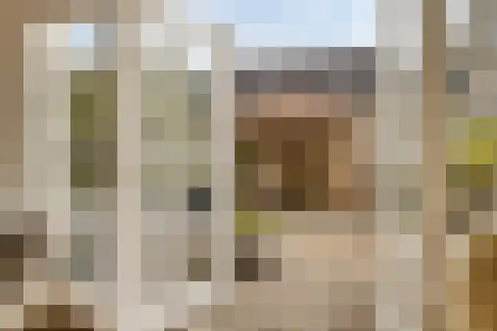 Haya van Someren-Downerpad 51 Spijkenisse thumbnail 6