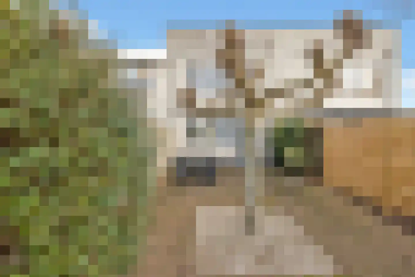 Haya van Someren-Downerstraat 22 Arnhem thumbnail 35