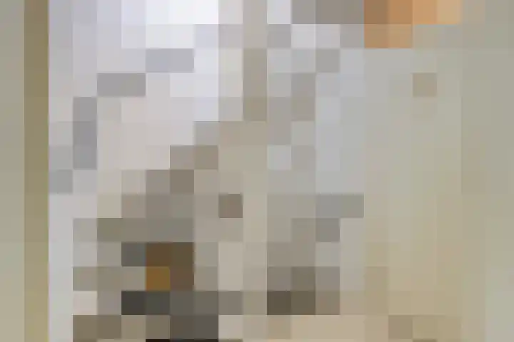 Haya van Someren-Downerstraat 3 Amsterdam thumbnail 14