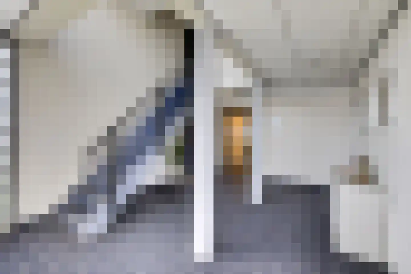 Haya van Somerenlaan 102 Amstelveen thumbnail 21