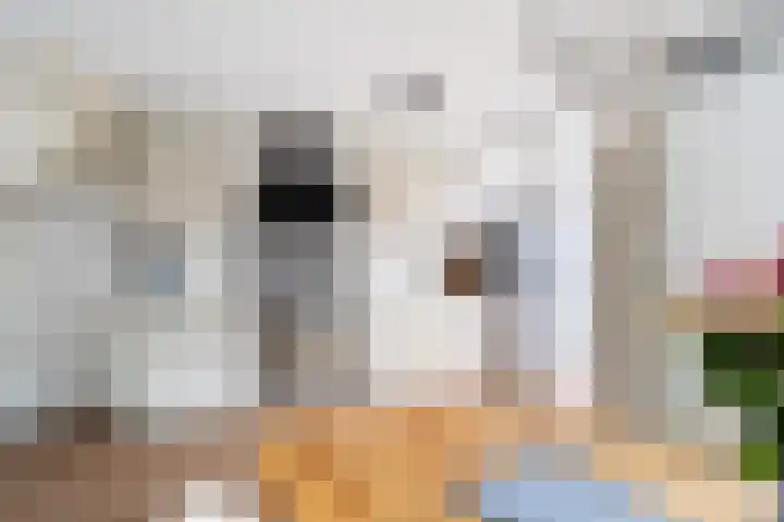 Haya van Somerenlaan 17 Pijnacker thumbnail 10