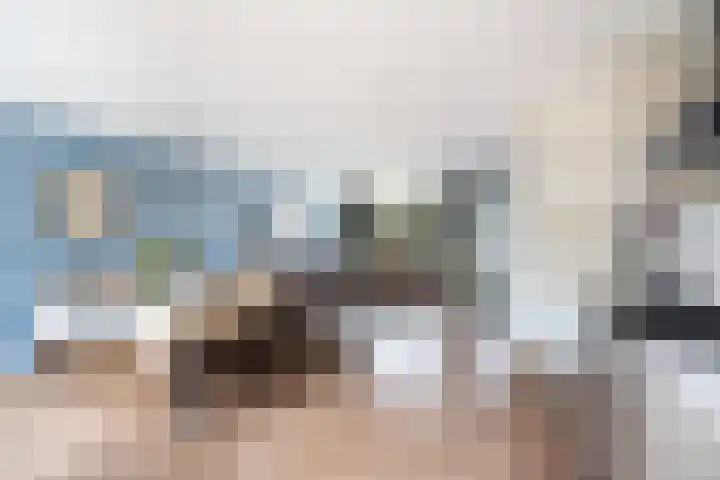 Haya van Somerenlaan 17 Pijnacker thumbnail 11