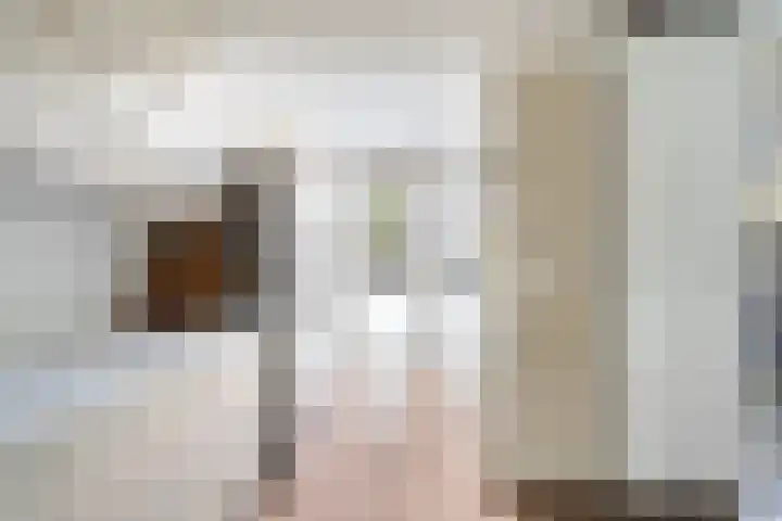 Haya van Somerenlaan 17 Pijnacker thumbnail 13