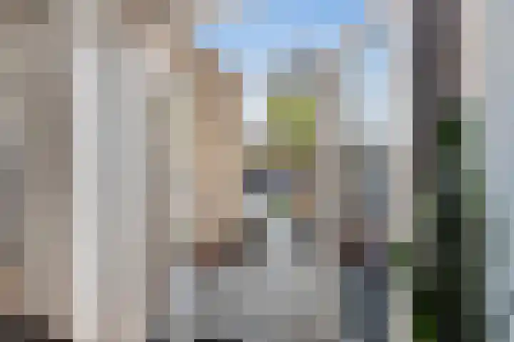 Haya van Somerenlaan 17 Pijnacker thumbnail 17