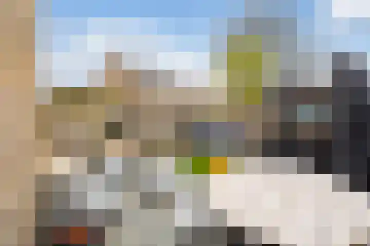 Haya van Somerenlaan 17 Pijnacker thumbnail 18