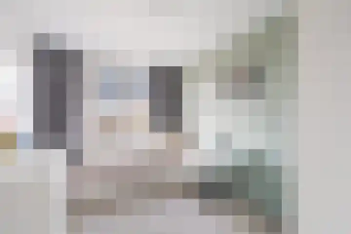 Haya van Somerenlaan 17 Pijnacker thumbnail 22