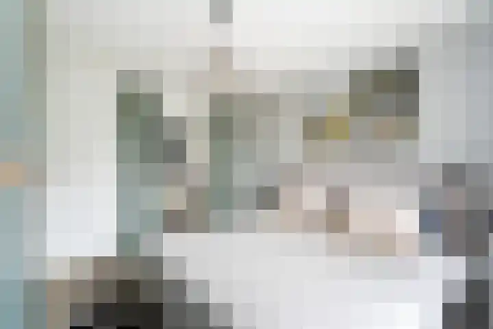 Haya van Somerenlaan 17 Pijnacker thumbnail 25