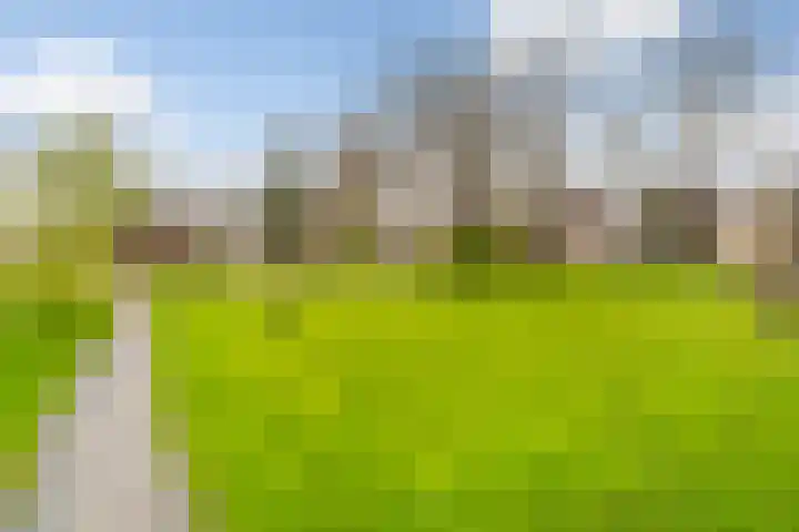 Haya van Somerenlaan 17 Pijnacker thumbnail 37