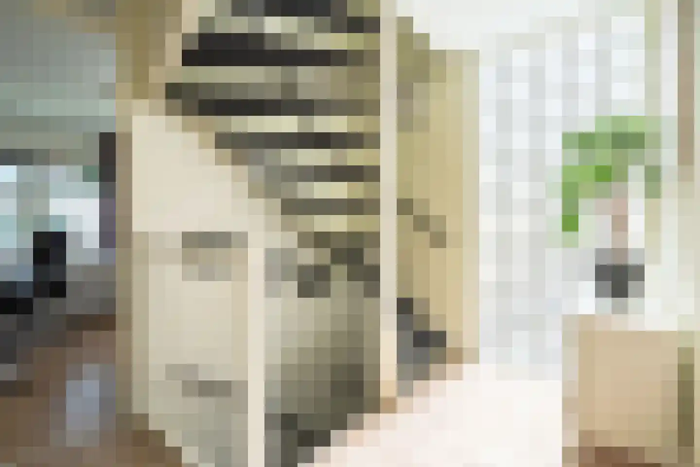 Haya van Somerenlaan 17 Zeist thumbnail 17