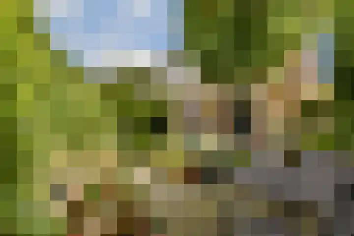 Haya van Somerenlaan 3 Amstelveen thumbnail 12