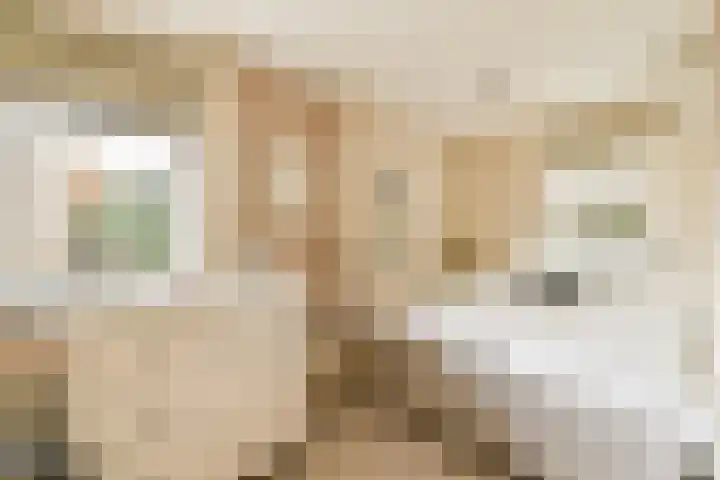 Haya van Somerenlaan 3 Amstelveen thumbnail 15