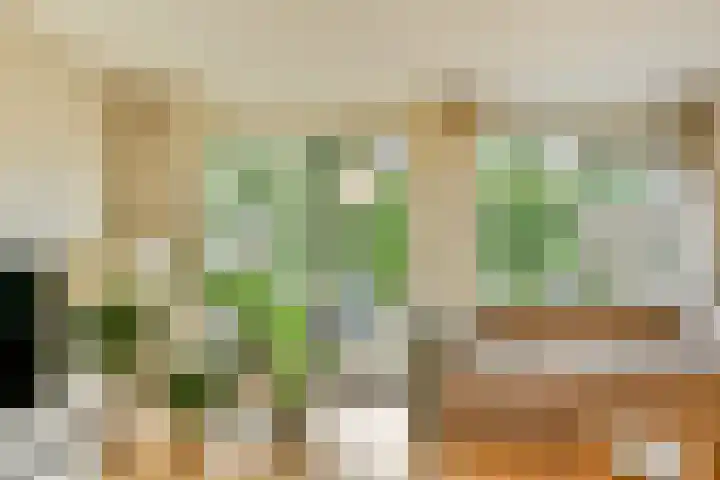 Haya van Somerenlaan 3 Amstelveen thumbnail 7