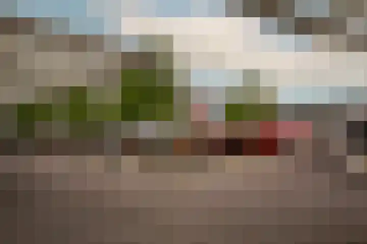 Haya van Somerenlaan 6 Pijnacker