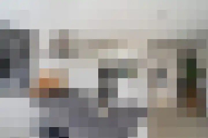 Haya van Somerenlaan 6 Pijnacker thumbnail 10