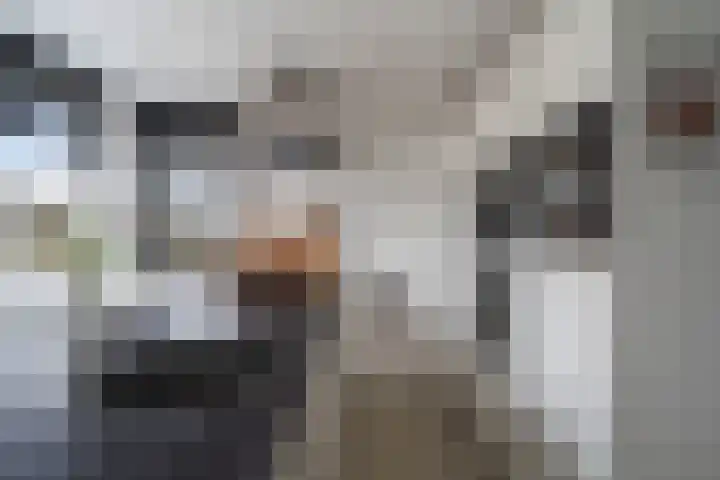 Haya van Somerenlaan 6 Pijnacker thumbnail 11