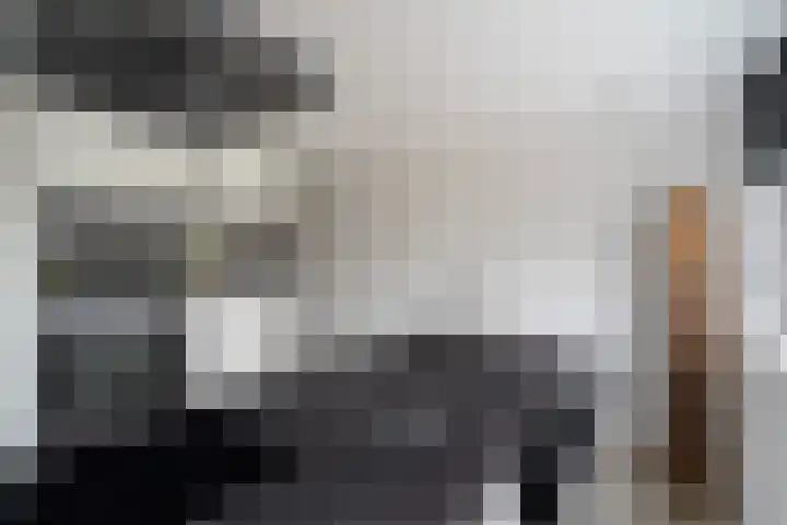 Haya van Somerenlaan 6 Pijnacker thumbnail 12