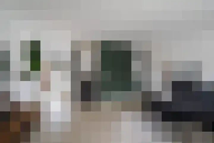 Haya van Somerenlaan 6 Pijnacker thumbnail 13