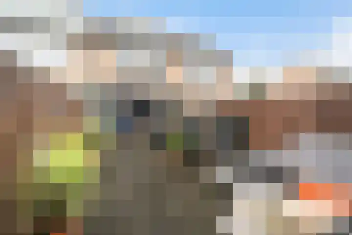 Haya van Somerenlaan 6 Pijnacker thumbnail 17
