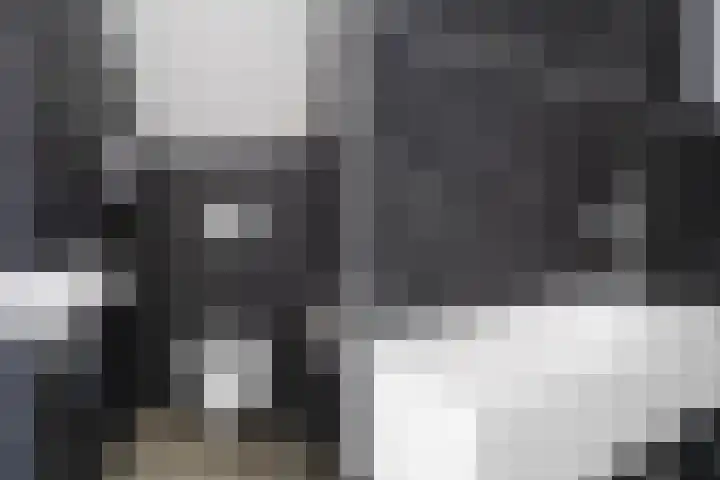 Haya van Somerenlaan 6 Pijnacker thumbnail 20